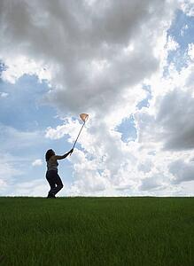 Woman with butterfly-net