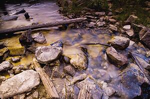 Stream with fallen tree