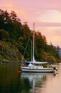 Anchored sailboats