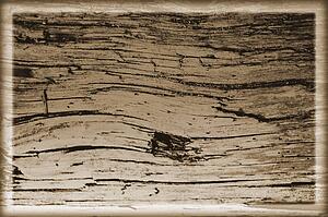 Wood grain background