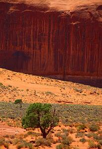 Red rock canyon
