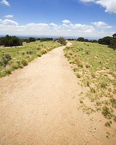 Long winding trail