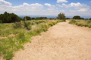 Winding dirt path