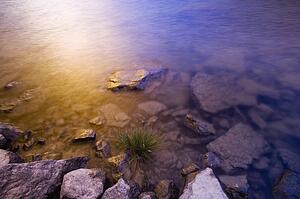 Sunset reflection in water