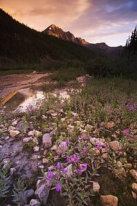 Beautiful mountain scene