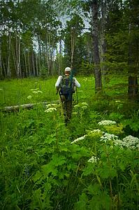 Man hiking through a forest