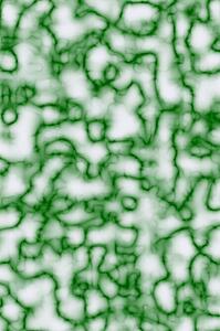 Green image