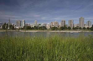 View of a cityscape across a bay