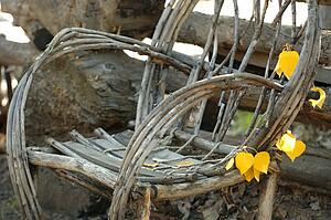 Willow-branch chair 