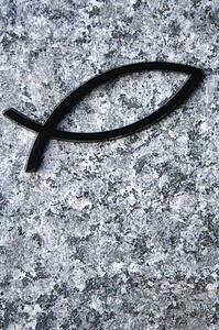 Fish symbol of Christianity