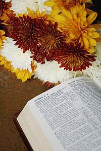 Flowers beside Bible open to Isaiah 6