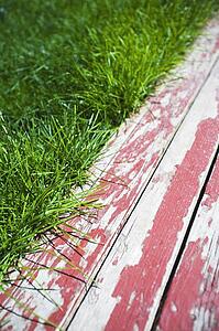 Grass and painted boards