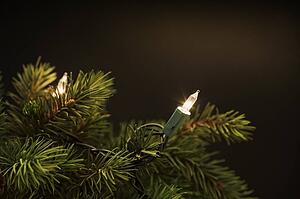 Christmas tree lights