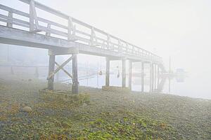 Wooden bridge over water