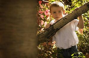 Boy playing in the trees