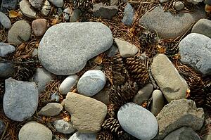 Rocks and pinecones