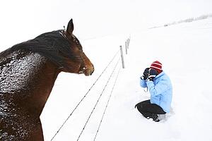 Person photographing horse