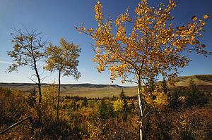 Scenic landscape