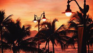 Tropical scenic