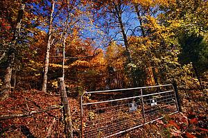 No trespassing