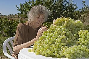 Grape orchardist in Spain