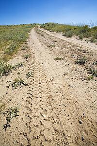 Dirt road with tire tracks