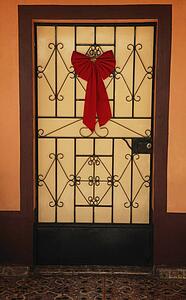 Door with decorative bow