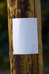Blank poster on a telephone pole