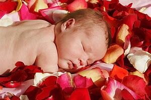 Baby sleeping on a bed of rose petals
