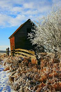 Old building in the winter