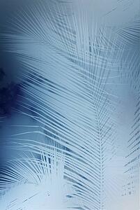 Palm branch background