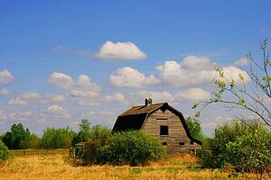 Abandoned barn