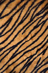 Close up shot of tiger print carpet.