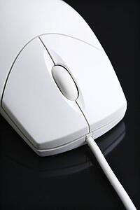 Computer mouse.