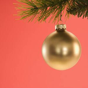 Still life of gold Christmas ornament hanging from pine branch.