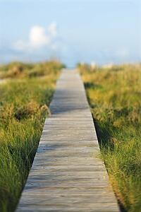 Wooden beach access walkway.