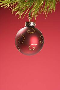 Still life of red Christmas ornament hanging from pine branch.