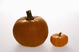 Still life of two orange pumpkins against white background.