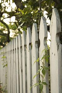 White picket fence with trees.