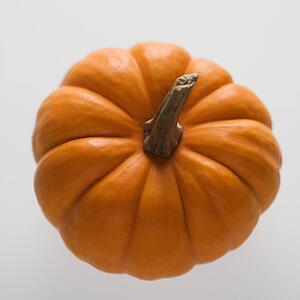 Still life of orange pumpkins against white background.