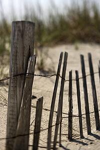 Weathered fence on sand dune on Bald Head Island, North Carolina.