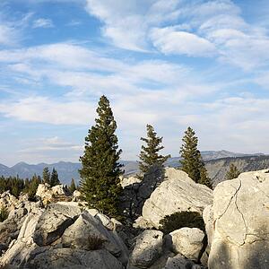 Large boulders with evergreen trees in Wyoming.