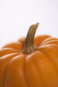 Close-up still life of orange pumpkin against white background.