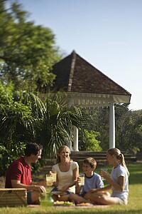 Caucasian family of four having picnic in park.
