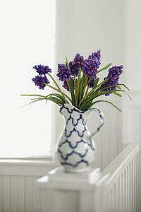 Purple flowers arranged in pitcher vase.