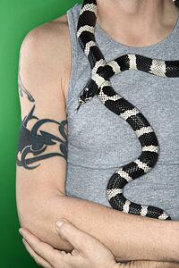 California Kingsnake draped around Caucasian mid-adult male's neck.
