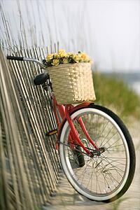 Red vintage bicycle with basket and flowers leaning against wooden fence at beach.