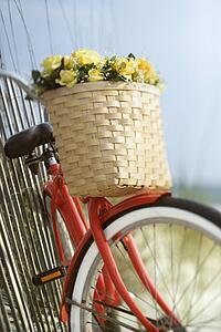 Red vintage bicycle with basket and flowers leaning against wooden fence at beach.