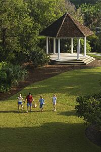 Caucasian family of four walking in park carrying picnic basket.