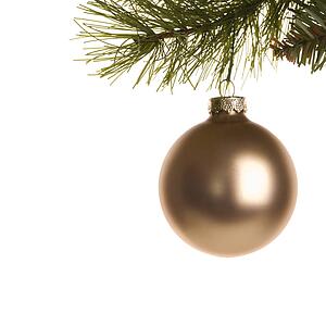 Still life of gold Christmas ornament hanging from pine branch.